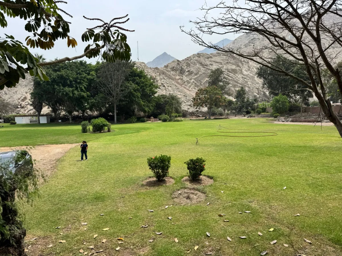 Casa de campo W