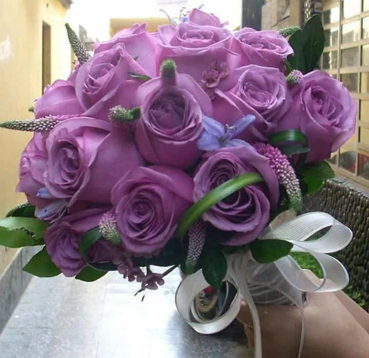 Flores y Plantas