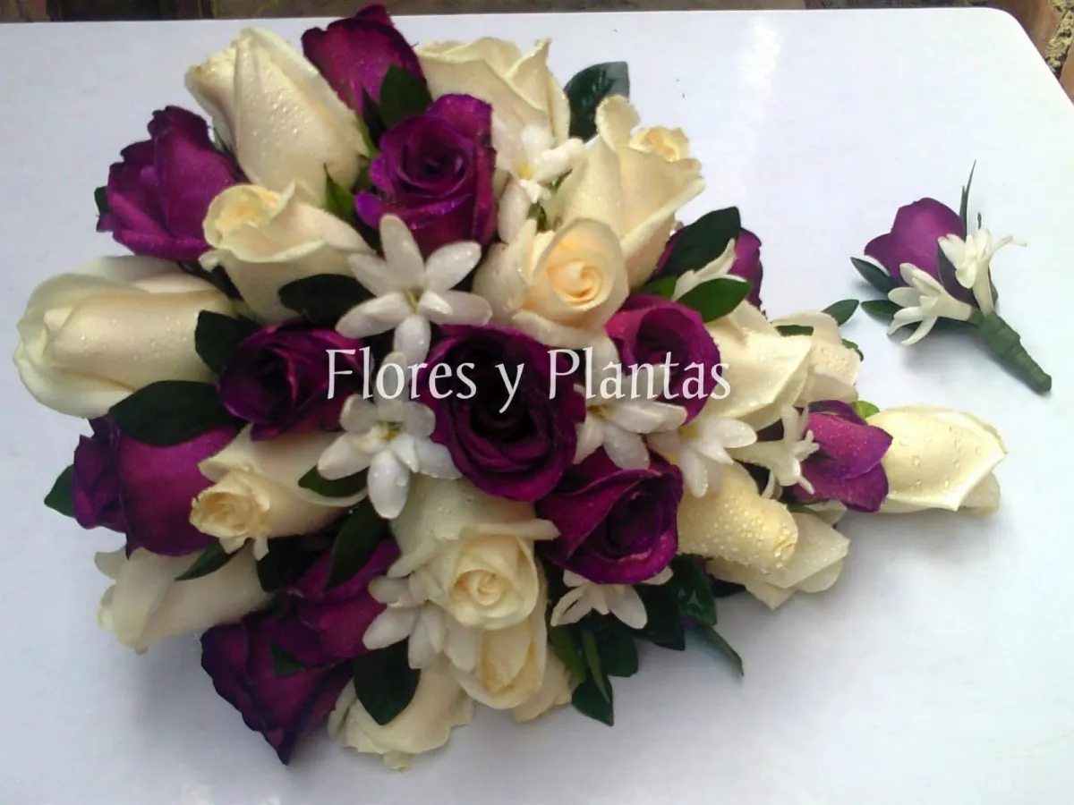 Flores y Plantas