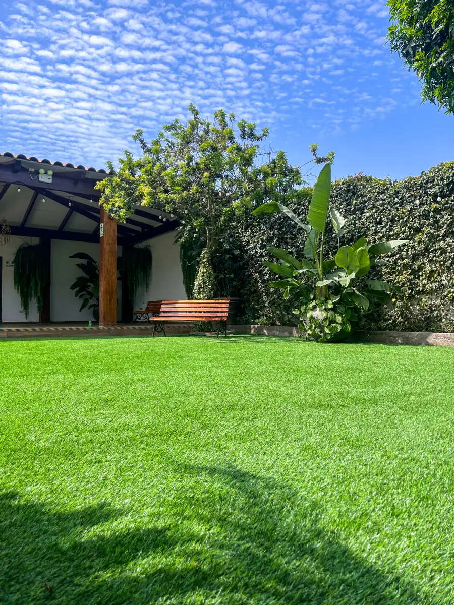 Totoras de Villa